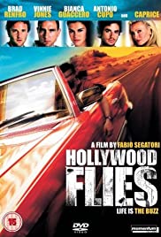 Hollywood Flies Hollywood Flies