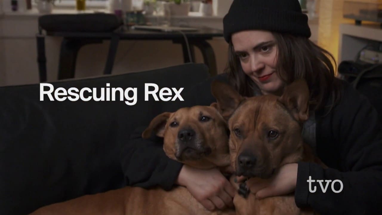Rescuing Rex