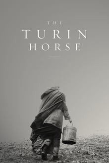 A torinói ló