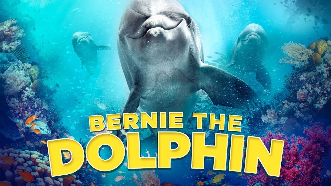 Bernie the Dolphin 2