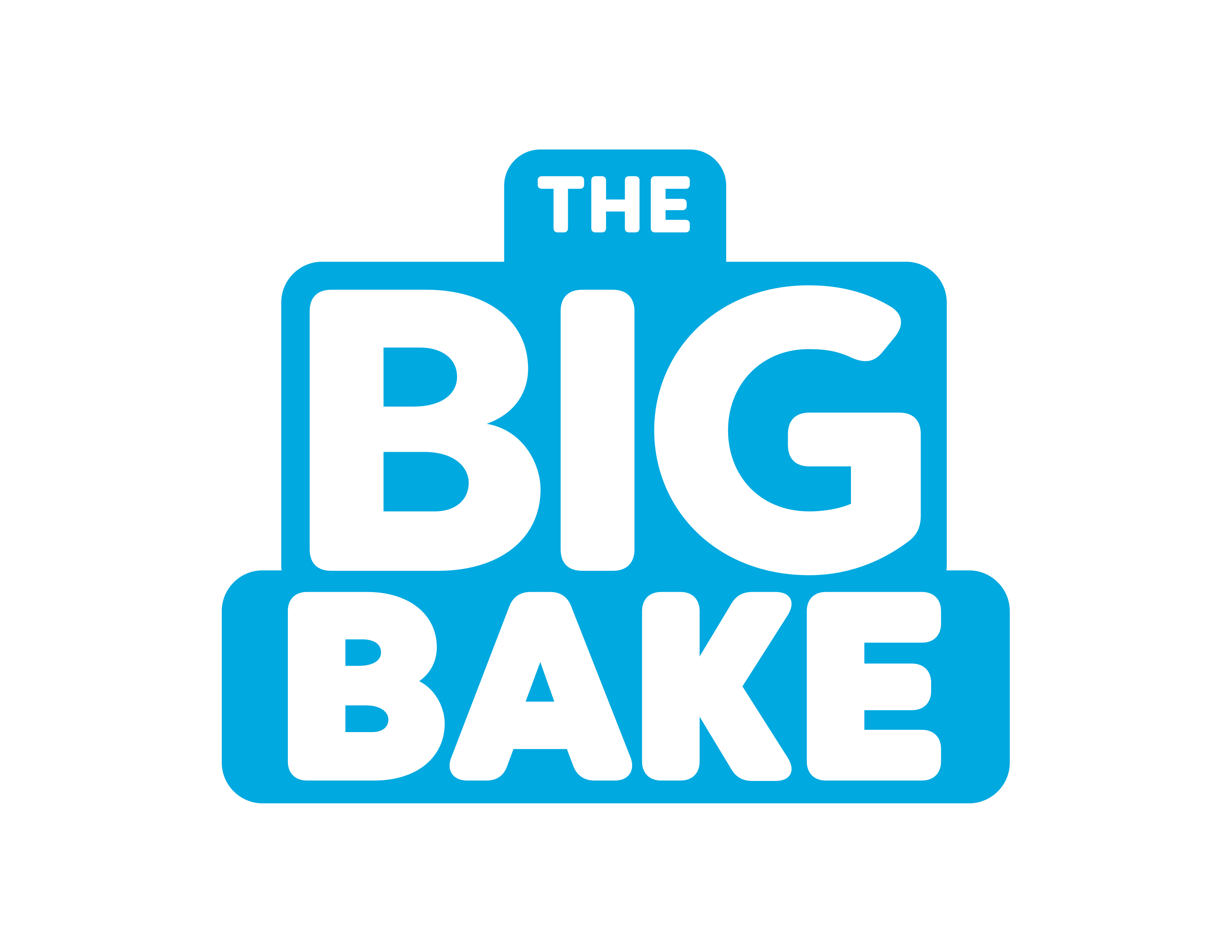 The Big Bake: Holiday Season 5 Episode 11
