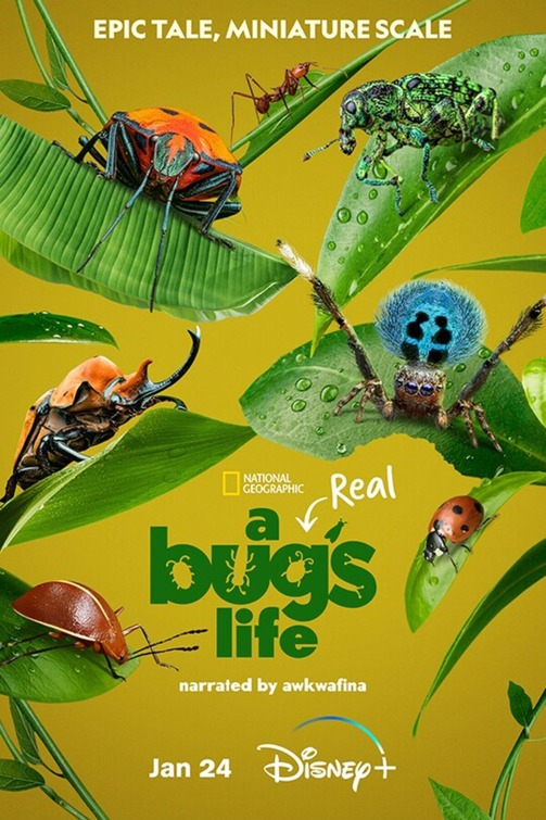 A Real Bug&apos;s Life