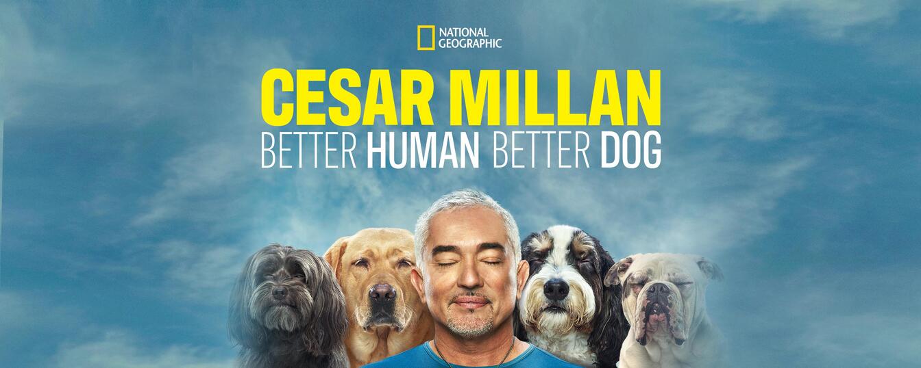 Cesar Millan: Better Human, Better Dog 4X4
