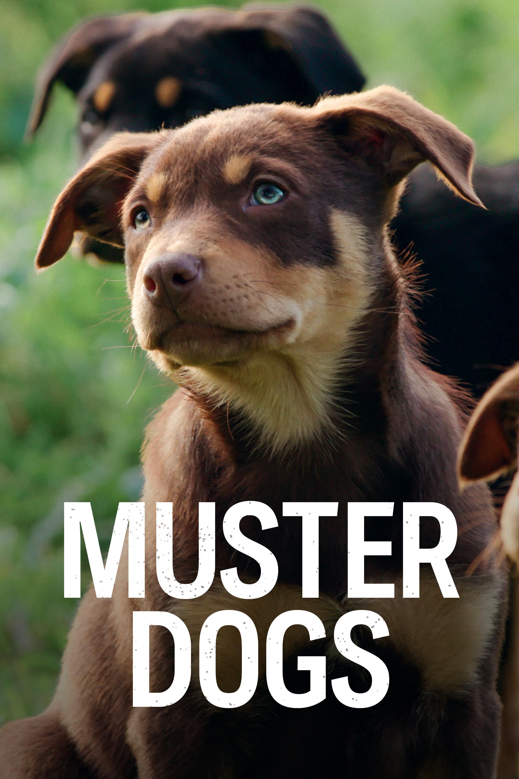 Muster Dogs Season 2 Episode 3