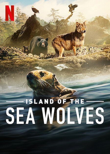 Island of the Sea Wolves Season 1 Episode 1