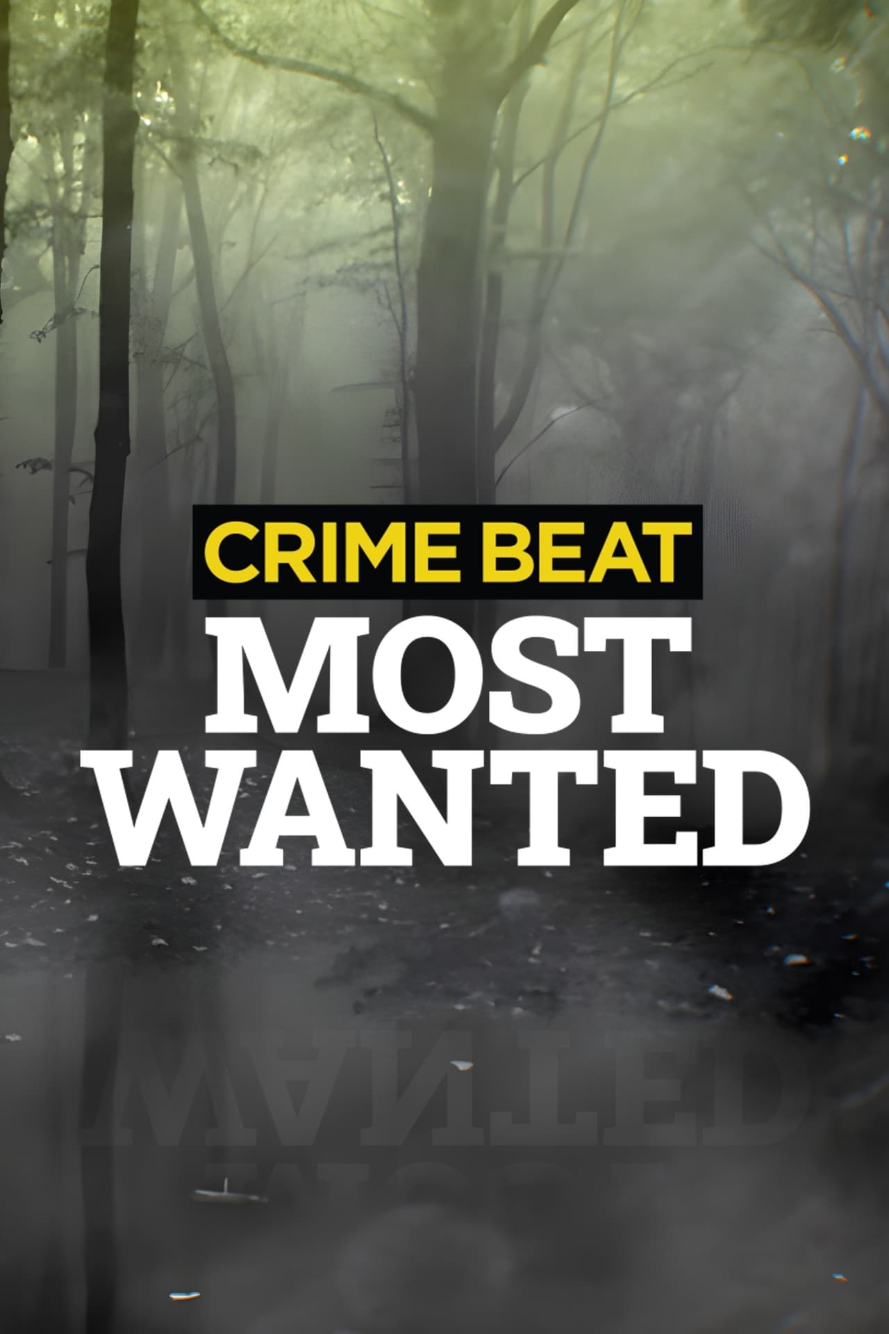 Crime Beat: Most Wanted
