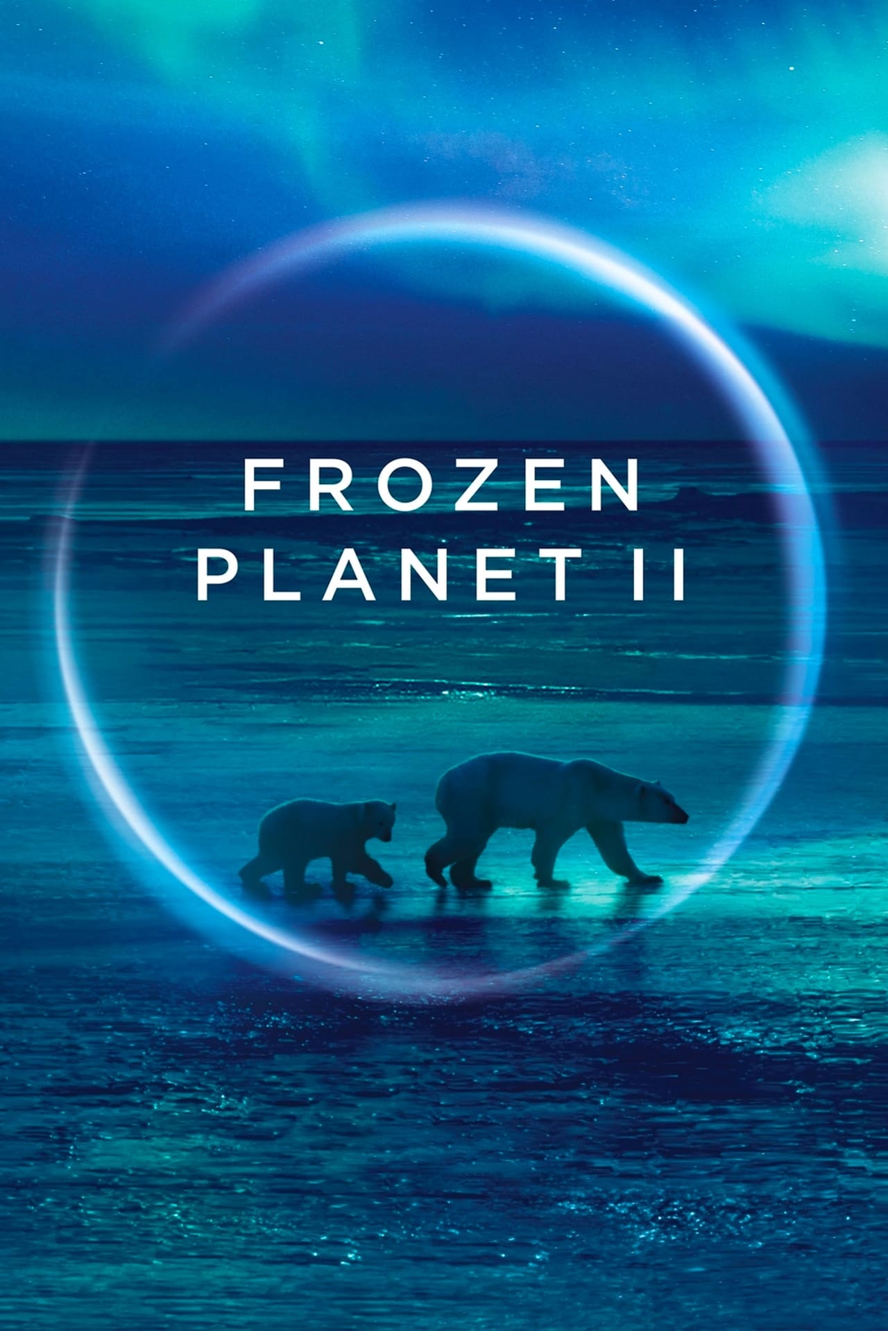 Frozen Planet II Season 1 Episode 6